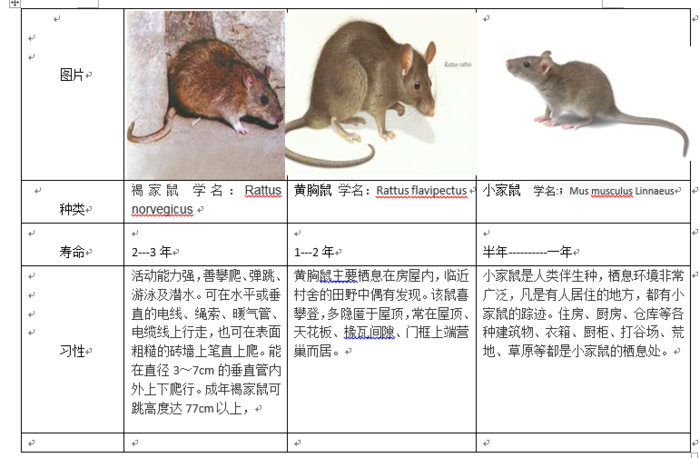 与前臼齿或臼齿间有间隙,门齿发达,无齿根,终生生长,常见啮物以磨短